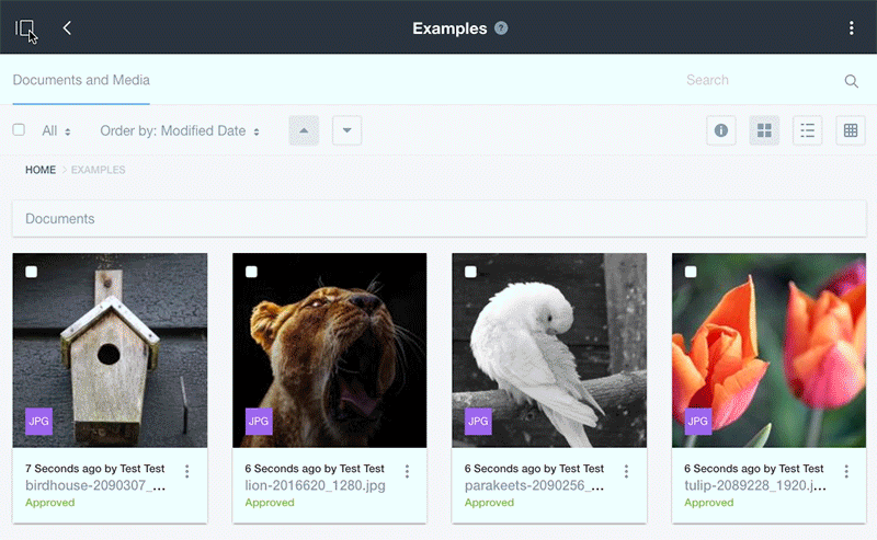 animated gif that shows how a header toolbar work with different interactions