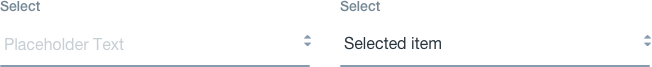 selector default state