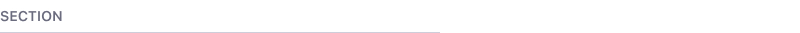 section component in its simplest form without icon