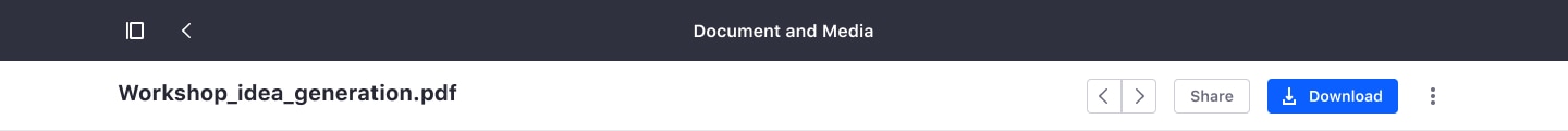 Document Preview toolbar with title, buttons to move between documents, share, download and actions button